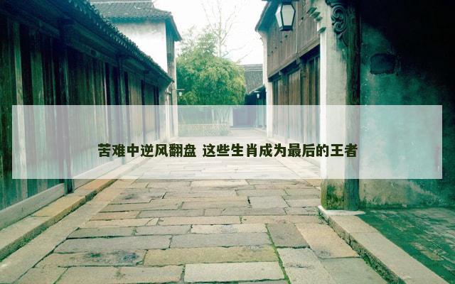 苦难中逆风翻盘 这些生肖成为最后的王者