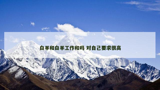 白羊和白羊工作和吗 对自己要求很高