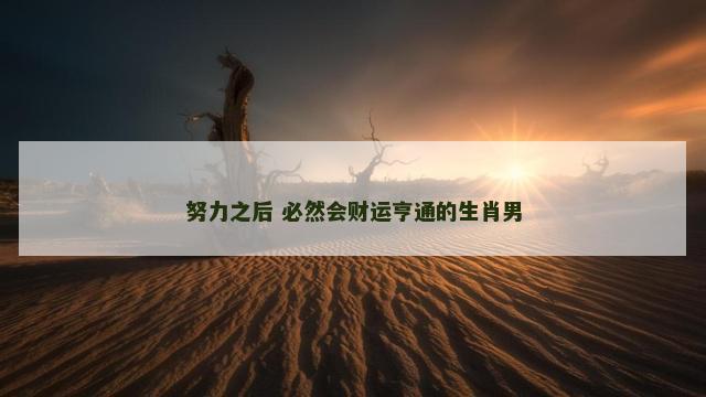 努力之后 必然会财运亨通的生肖男