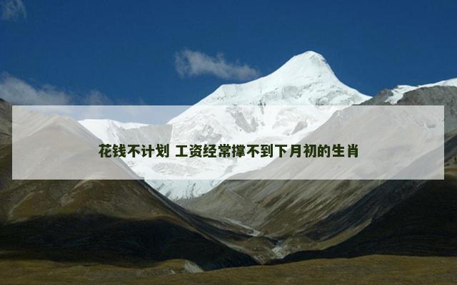 花钱不计划 工资经常撑不到下月初的生肖
