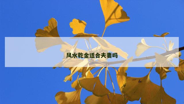 风水乾金适合夫妻吗