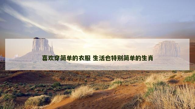 喜欢穿简单的衣服 生活也特别简单的生肖