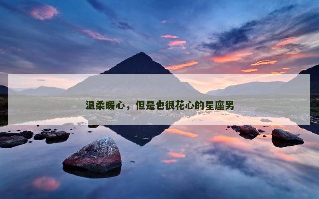 温柔暖心，但是也很花心的星座男
