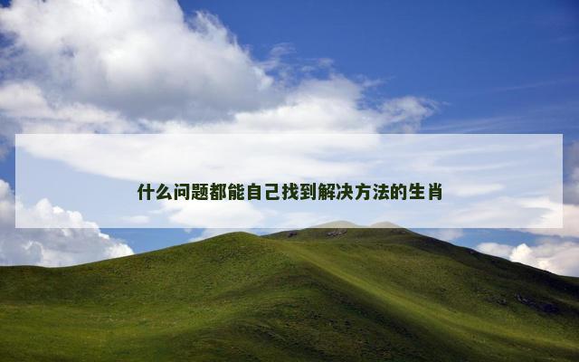 什么问题都能自己找到解决方法的生肖