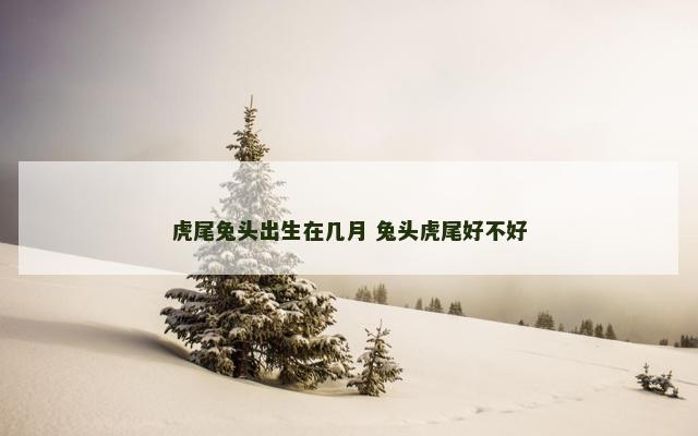 虎尾兔头出生在几月 兔头虎尾好不好