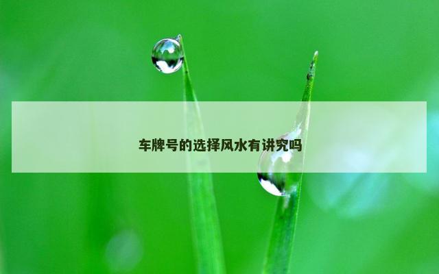车牌号的选择风水有讲究吗