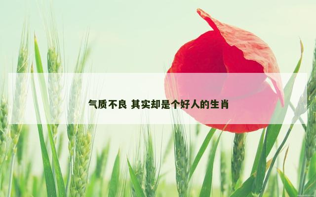 气质不良 其实却是个好人的生肖