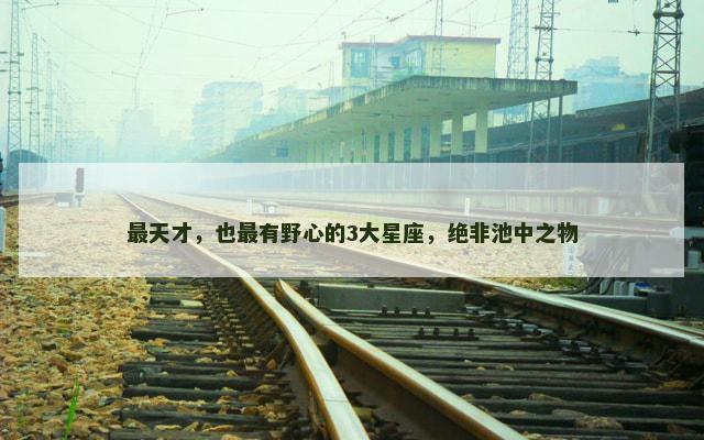 最天才，也最有野心的3大星座，绝非池中之物