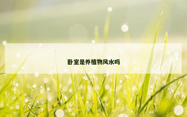 卧室是养植物风水吗