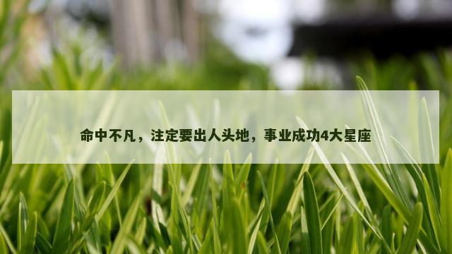 命中不凡，注定要出人头地，事业成功4大星座