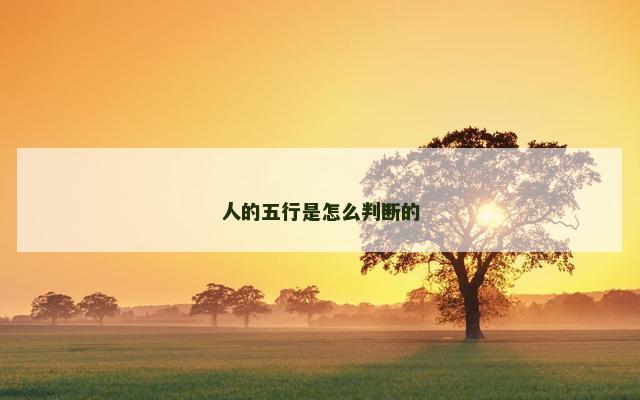 人的五行是怎么判断的