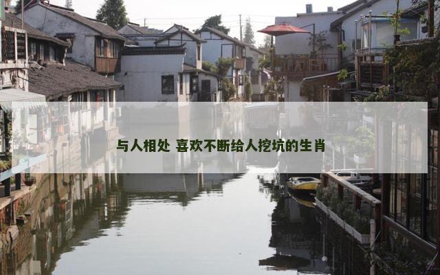 与人相处 喜欢不断给人挖坑的生肖
