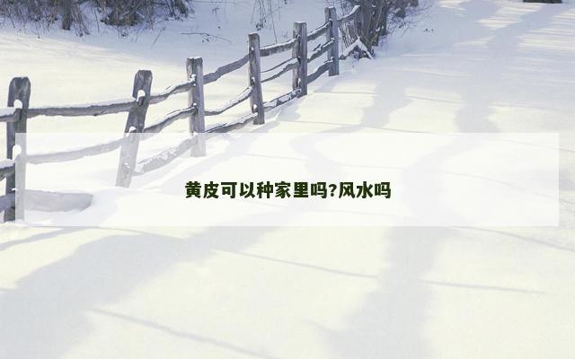 黄皮可以种家里吗?风水吗