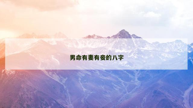 男命有妻有妾的八字