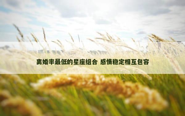 离婚率最低的星座组合 感情稳定相互包容