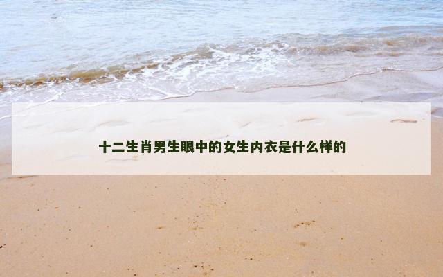 十二生肖男生眼中的女生内衣是什么样的
