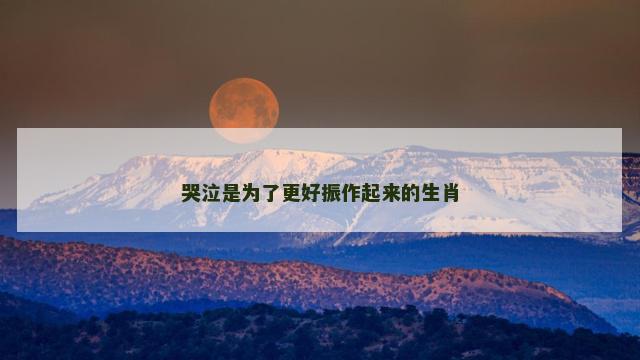 哭泣是为了更好振作起来的生肖