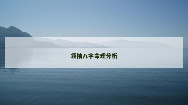 领袖八字命理分析