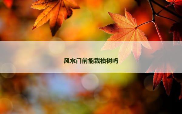 风水门前能栽柏树吗