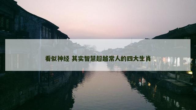 看似神经 其实智慧超越常人的四大生肖