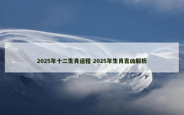 2025年十二生肖运程 2025年生肖吉凶解析