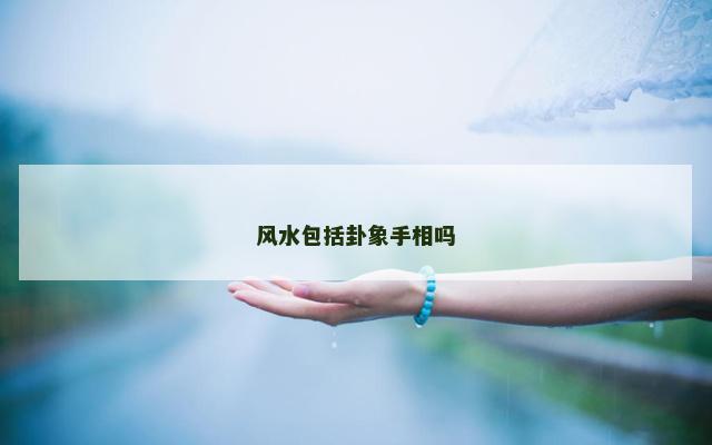风水包括卦象手相吗