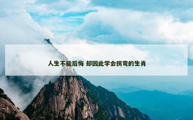 人生不能后悔 却因此学会拐弯的生肖