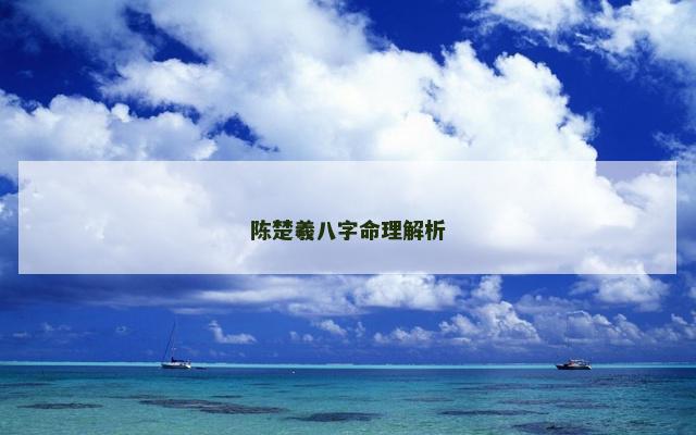 陈楚羲八字命理解析