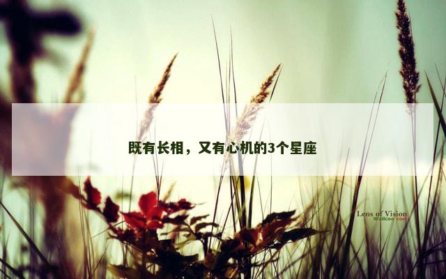 既有长相，又有心机的3个星座