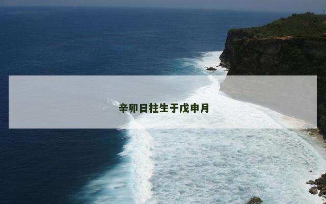 辛卯日柱生于戊申月