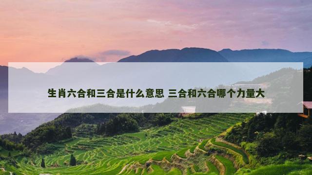 生肖六合和三合是什么意思 三合和六合哪个力量大