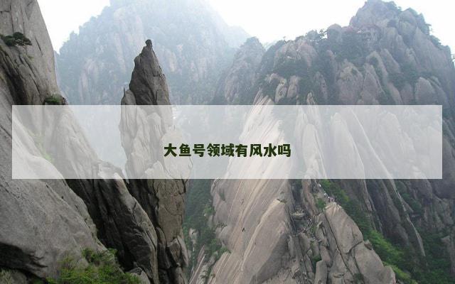 大鱼号领域有风水吗
