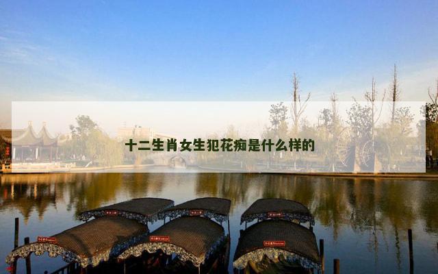 十二生肖女生犯花痴是什么样的