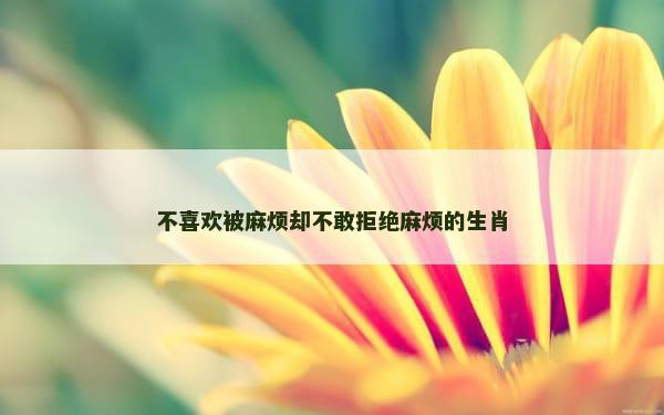 不喜欢被麻烦却不敢拒绝麻烦的生肖