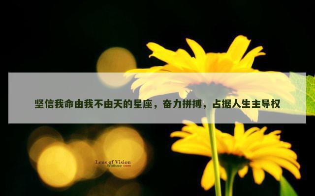 坚信我命由我不由天的星座，奋力拼搏，占据人生主导权