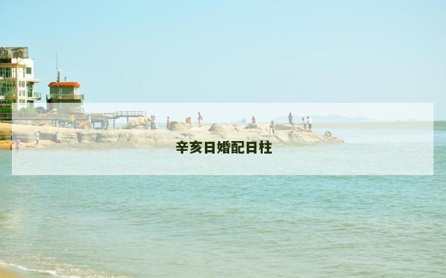 辛亥日婚配日柱