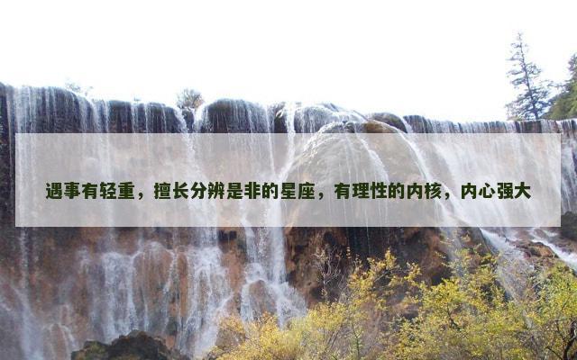遇事有轻重，擅长分辨是非的星座，有理性的内核，内心强大