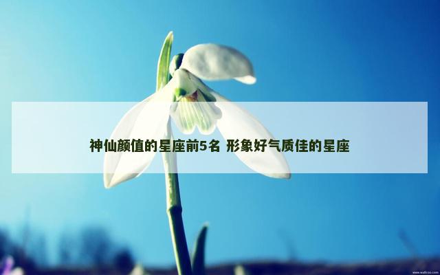 神仙颜值的星座前5名 形象好气质佳的星座