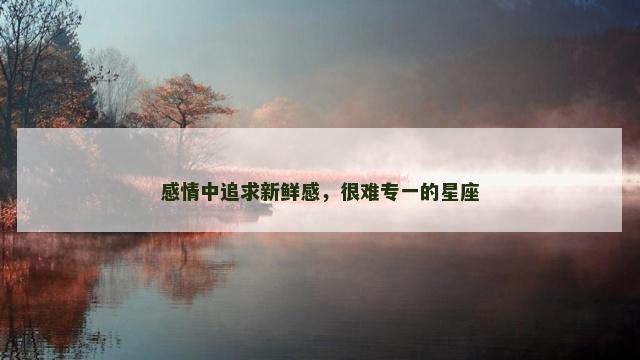 感情中追求新鲜感，很难专一的星座