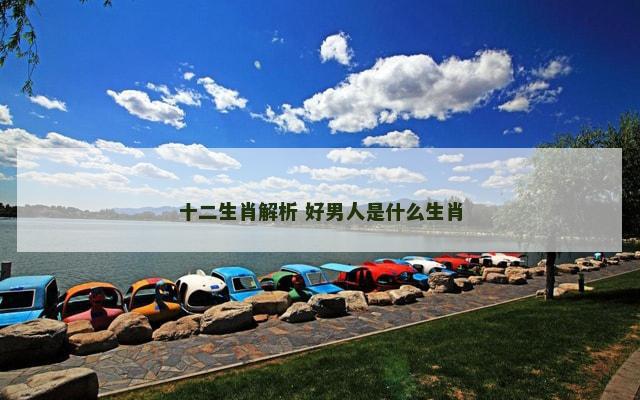 十二生肖解析 好男人是什么生肖