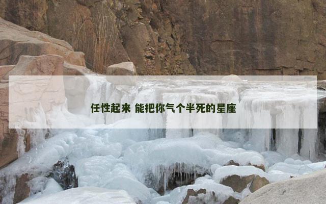 任性起来 能把你气个半死的星座