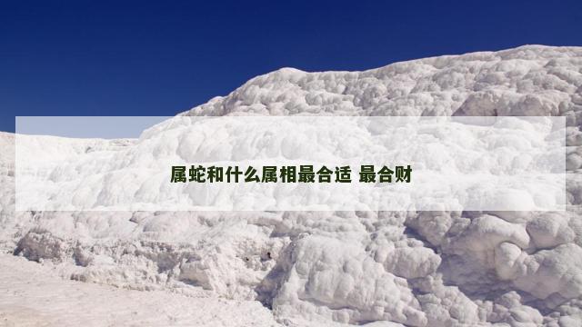 属蛇和什么属相最合适 最合财