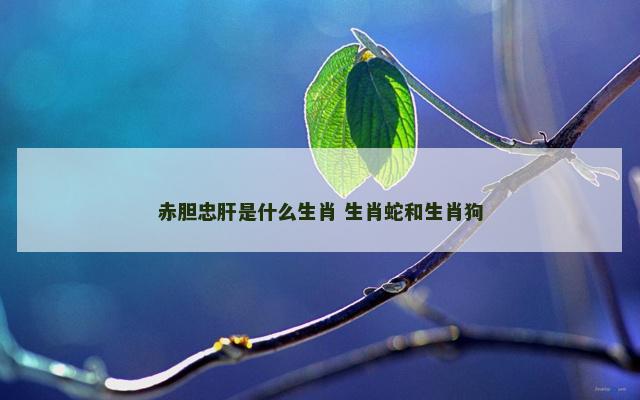 赤胆忠肝是什么生肖 生肖蛇和生肖狗