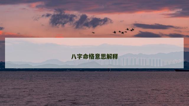 八字命格意思解释