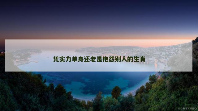凭实力单身还老是抱怨别人的生肖