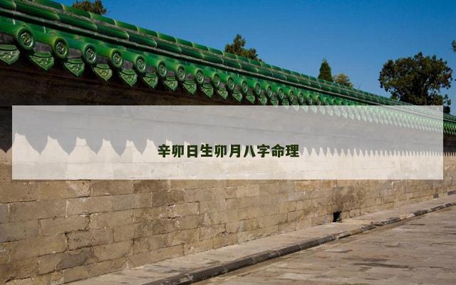 辛卯日生卯月八字命理