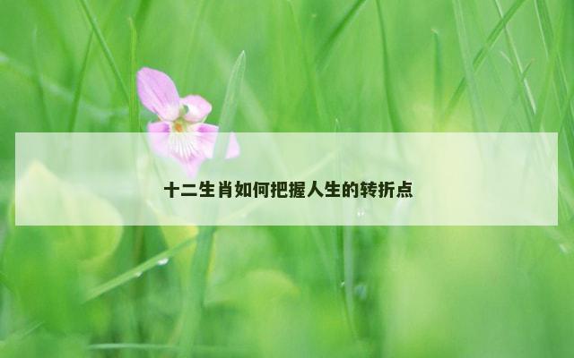 十二生肖如何把握人生的转折点