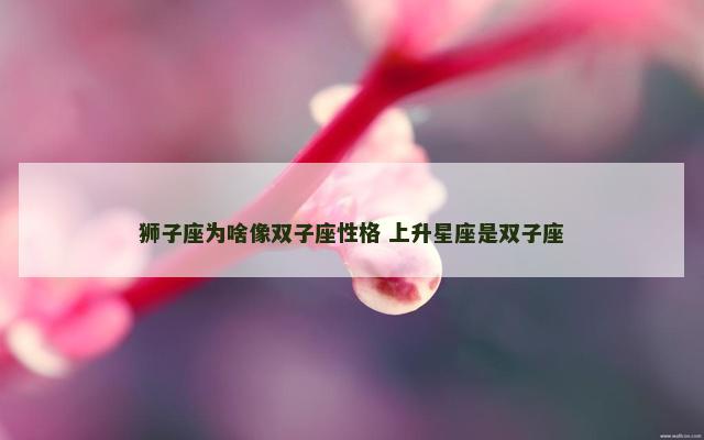 狮子座为啥像双子座性格 上升星座是双子座