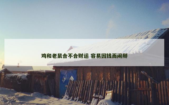 鸡和老鼠合不合财运 容易因钱而闹掰