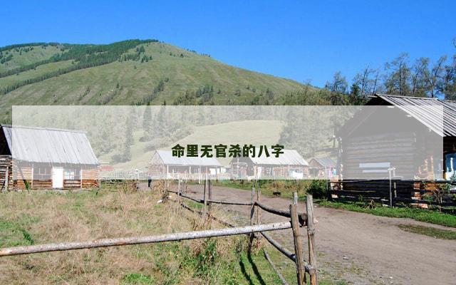 命里无官杀的八字